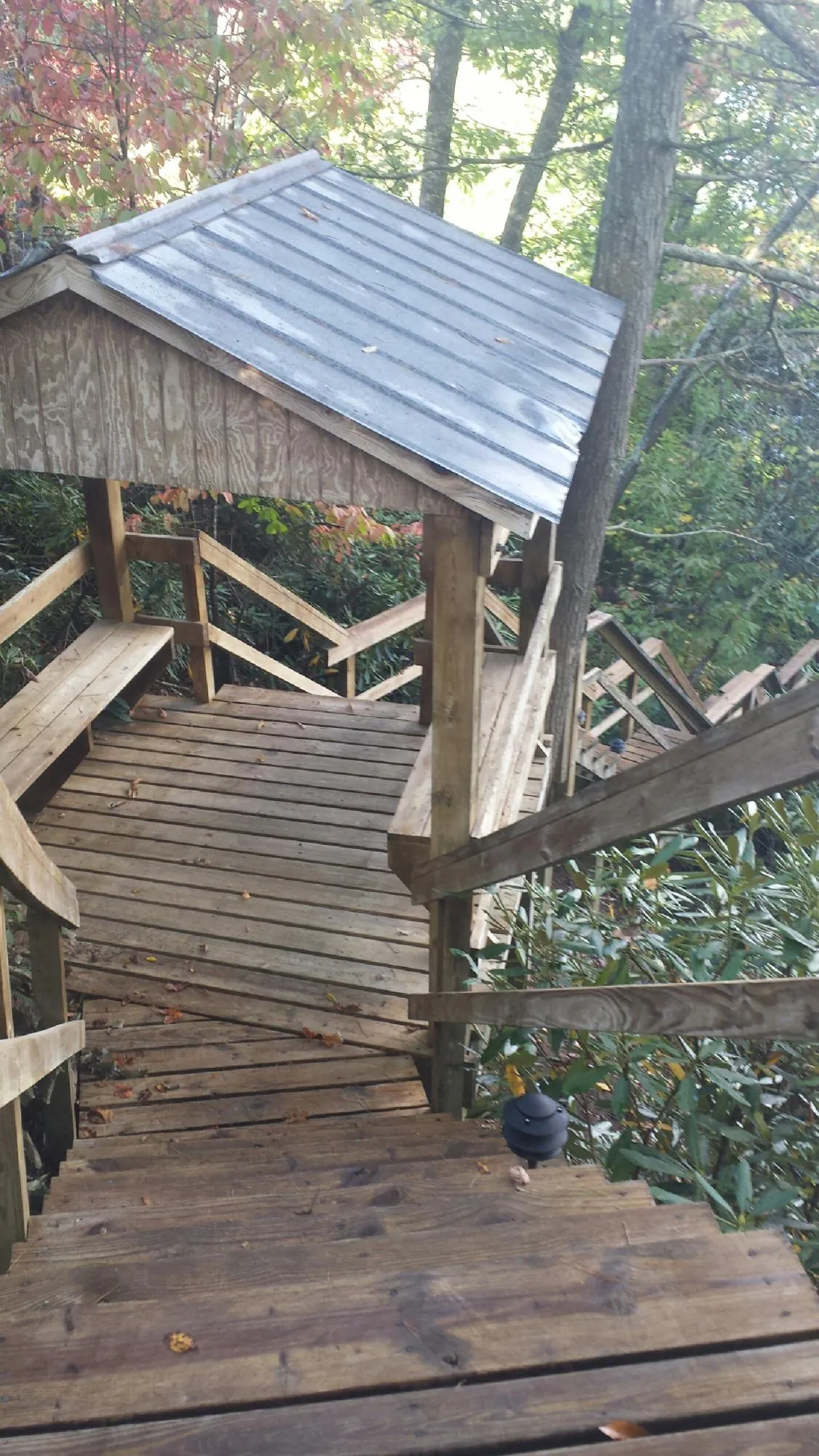 Metal roofed shelter over wooden steps on a wooded walkway — Skylight Repair & Installation work by our crew in Rex
